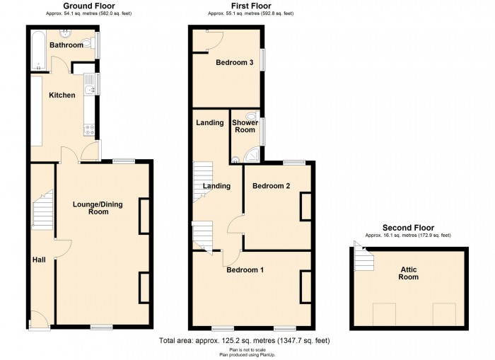 Floorplan for Alfred Street, Ebbw Vale, Blaenau Gwent, NP23 6NQ