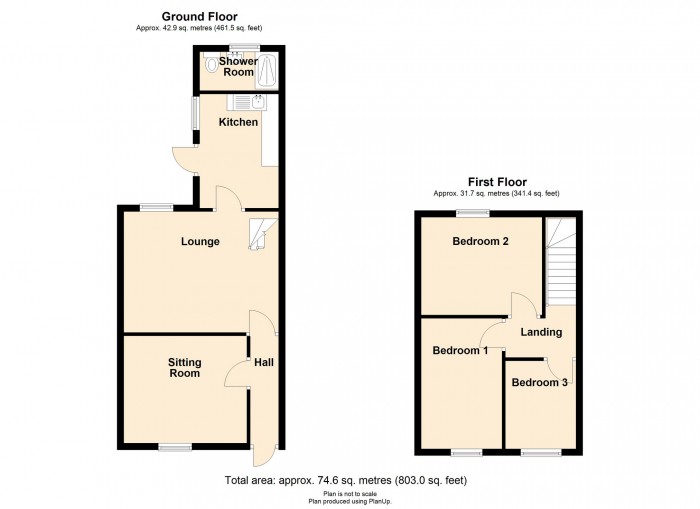 Floorplan for Brynteg Terrace. Fochrhiw, CF81 9JQ