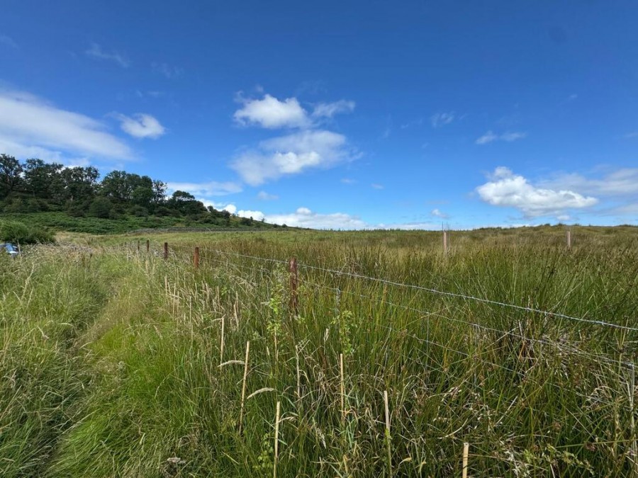 Images for Plot 2 Land to the rear of Danycoed, Pontsticill,CF48 2UL